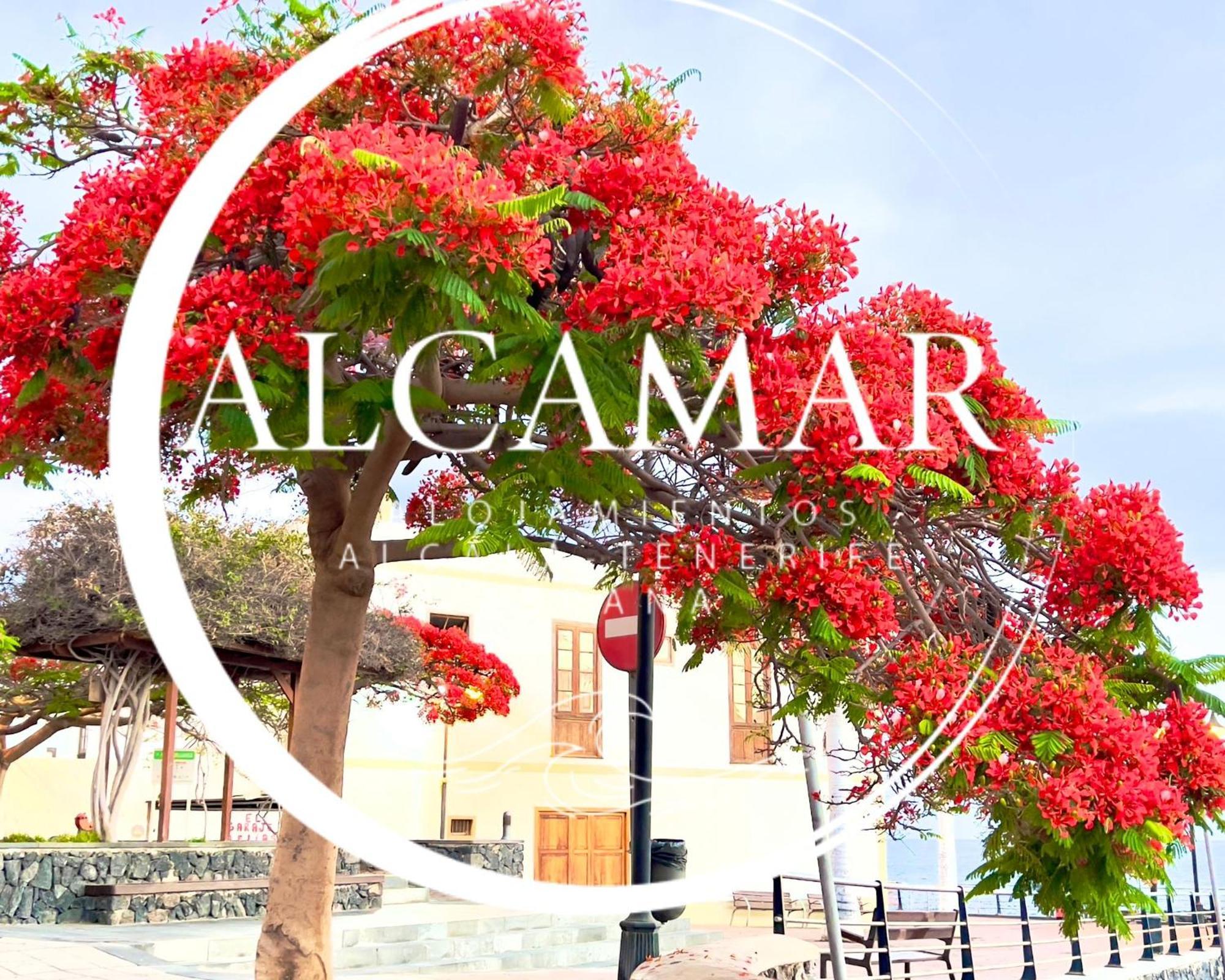Alcamar Habitacion Privada Con Las Areas De Sala, Cocina Y Bano Que Se Comparten Cerca Al Mar! Alcalá la Real Екстериор снимка
